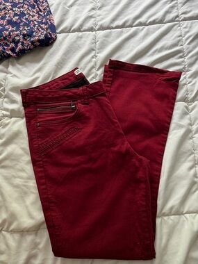 Zara Basic Burgundy Denim Pants - Z1975